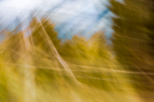 pinhole_landscapes_I 9