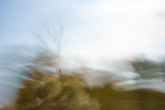 pinhole_landscapes_I 10