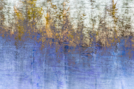 waldimpressionen_I 7